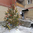 Установили елку во дворе дома № 1А по ул. 50 лет октября